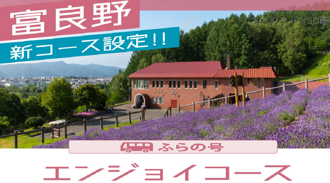 [問題] 7月北海道賞花6天5夜行程請益
