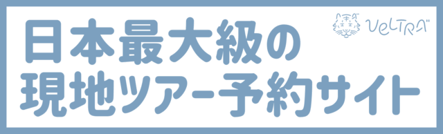 日本最大級の現地ツアー予約サイト　ベルトラ